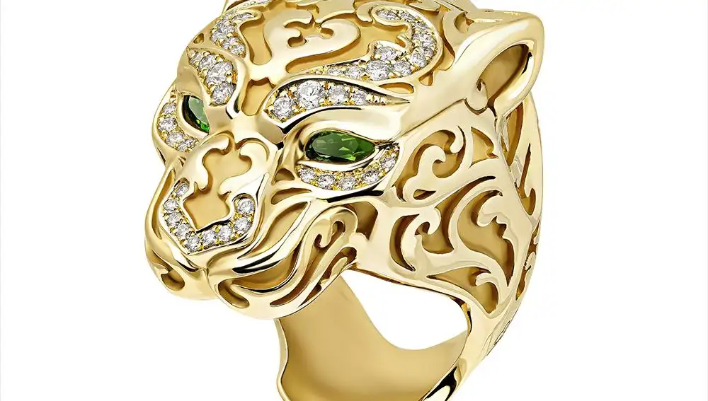 Anillo Zodaira