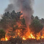 Incendio en Cebreros (Ávila)