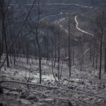 Es el país europeo con peores datos de incendios, el 0,38% del territorio está afectado. Galicia, Aragón y Castilla y León continúan ardiendo.