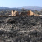 Vista de la zona afectada de San Martín de Tábara (Zamora), por el incendio forestal de Losacio (Zamora