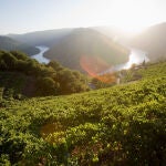 Vista panorámica del Cabo do Mundo, en Ribeira Sacra