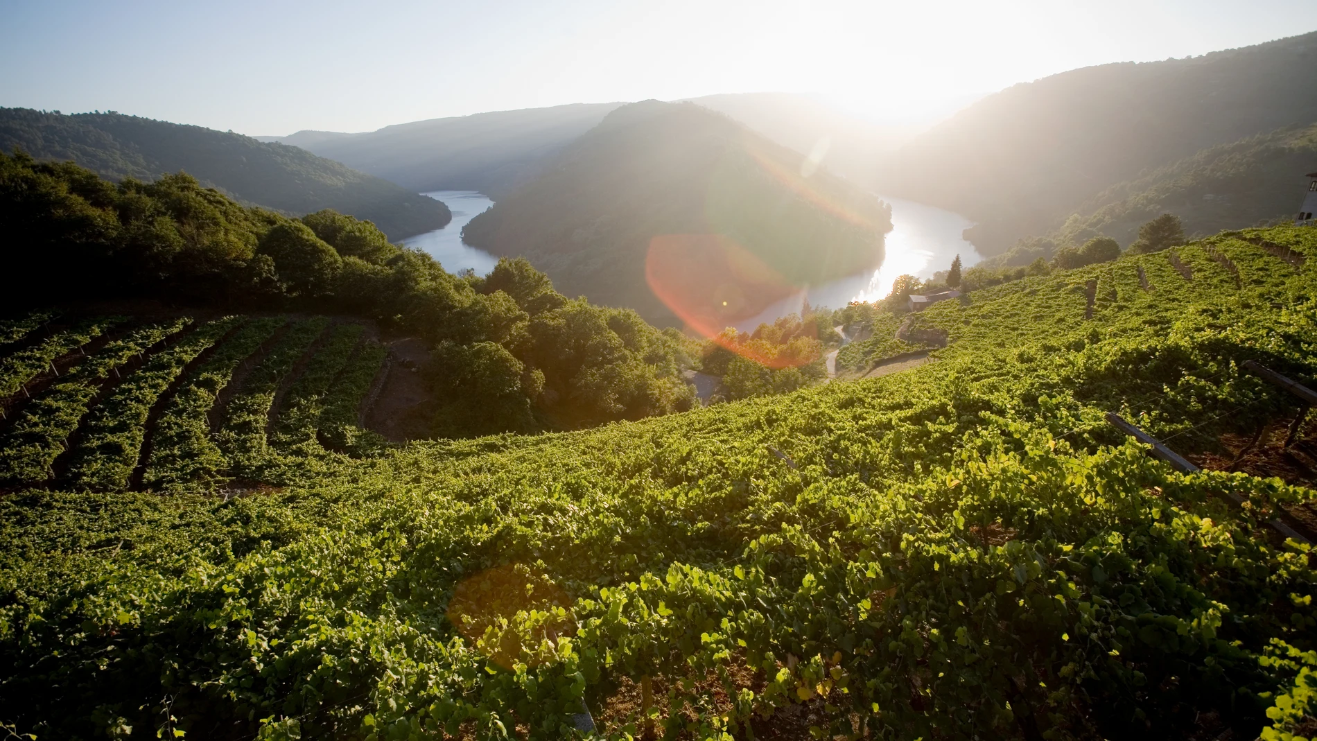Vista panorámica del Cabo do Mundo, en Ribeira Sacra