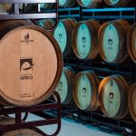 Barricas de la bodega Marqués del Atrio