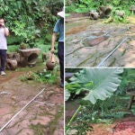 Un hombre se encontraba comiendo en un restaurante de Leshan, China, cuando se fijó en unas extrañas siluetas en el suelo