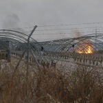 Incendio forestal declarado en Bonares (Huelva)