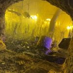 La compañía energética destapó una media de 4,5 conexiones ilegales para el cultivo de marihuana al día