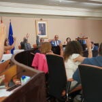 Pleno de la Diputación de Segovia del mes de julio
