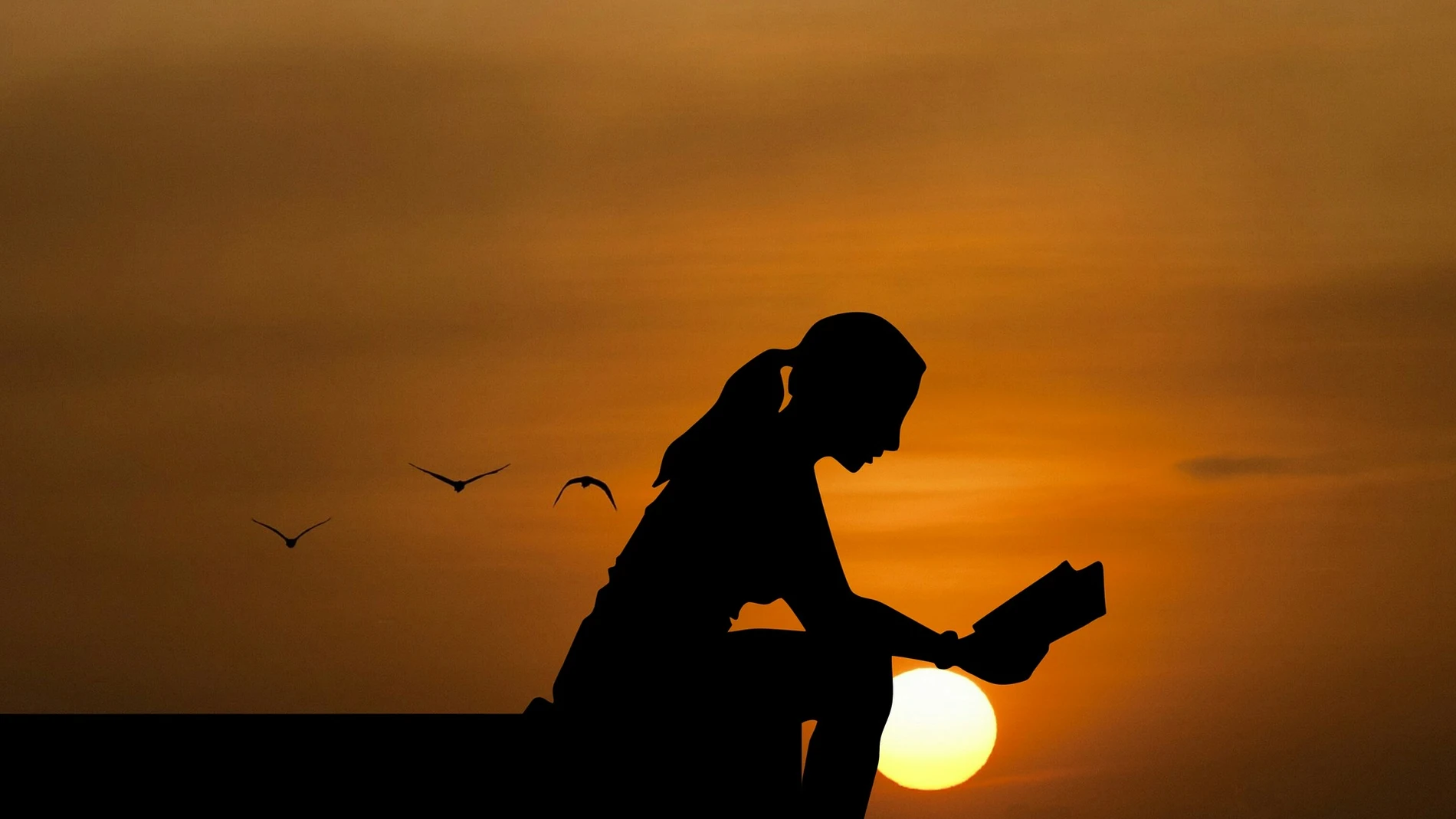 Los mejores libros del verano