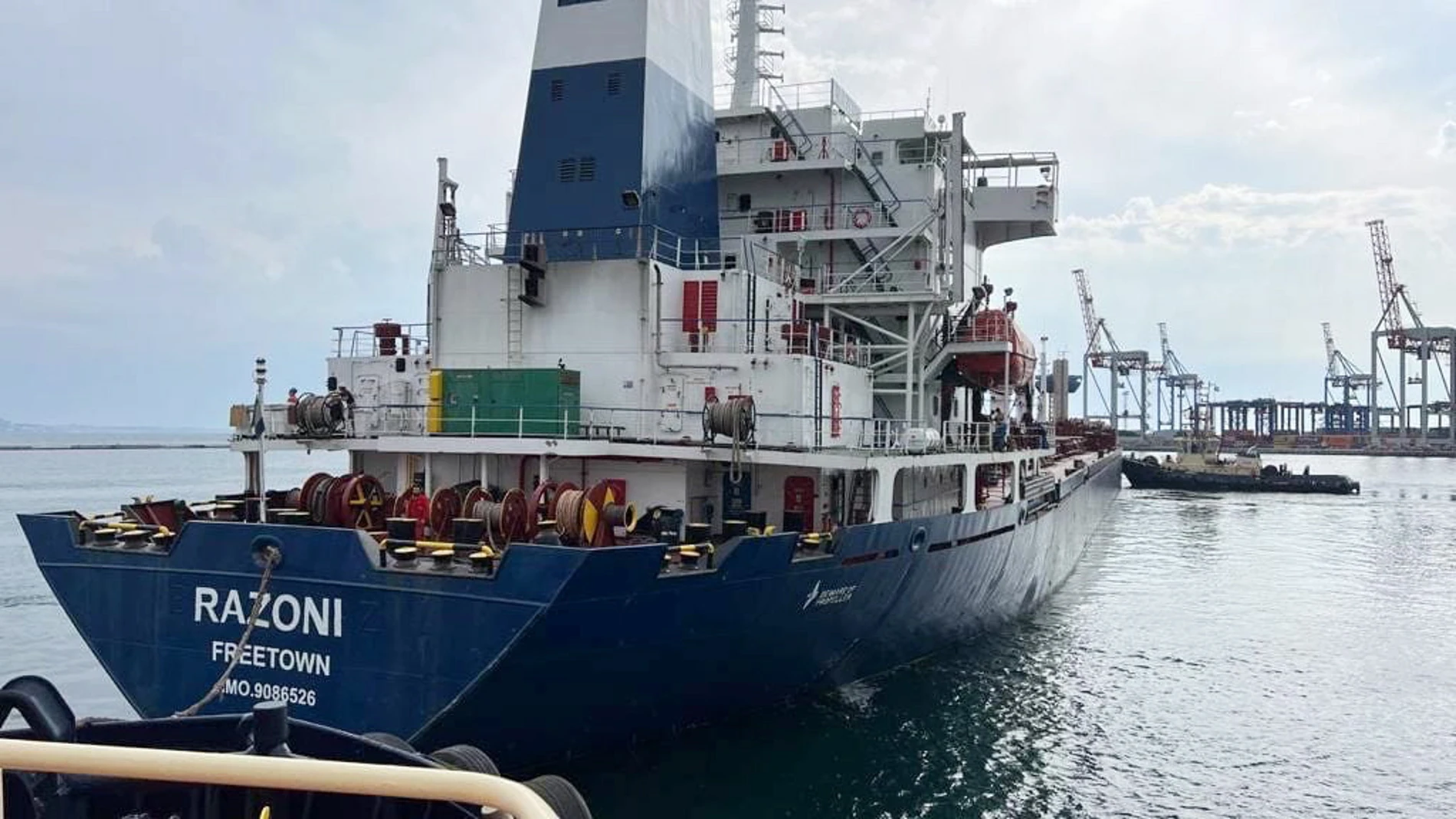 Imagen del "Razoni", el barco con más de 26.000 toneladas de maíz