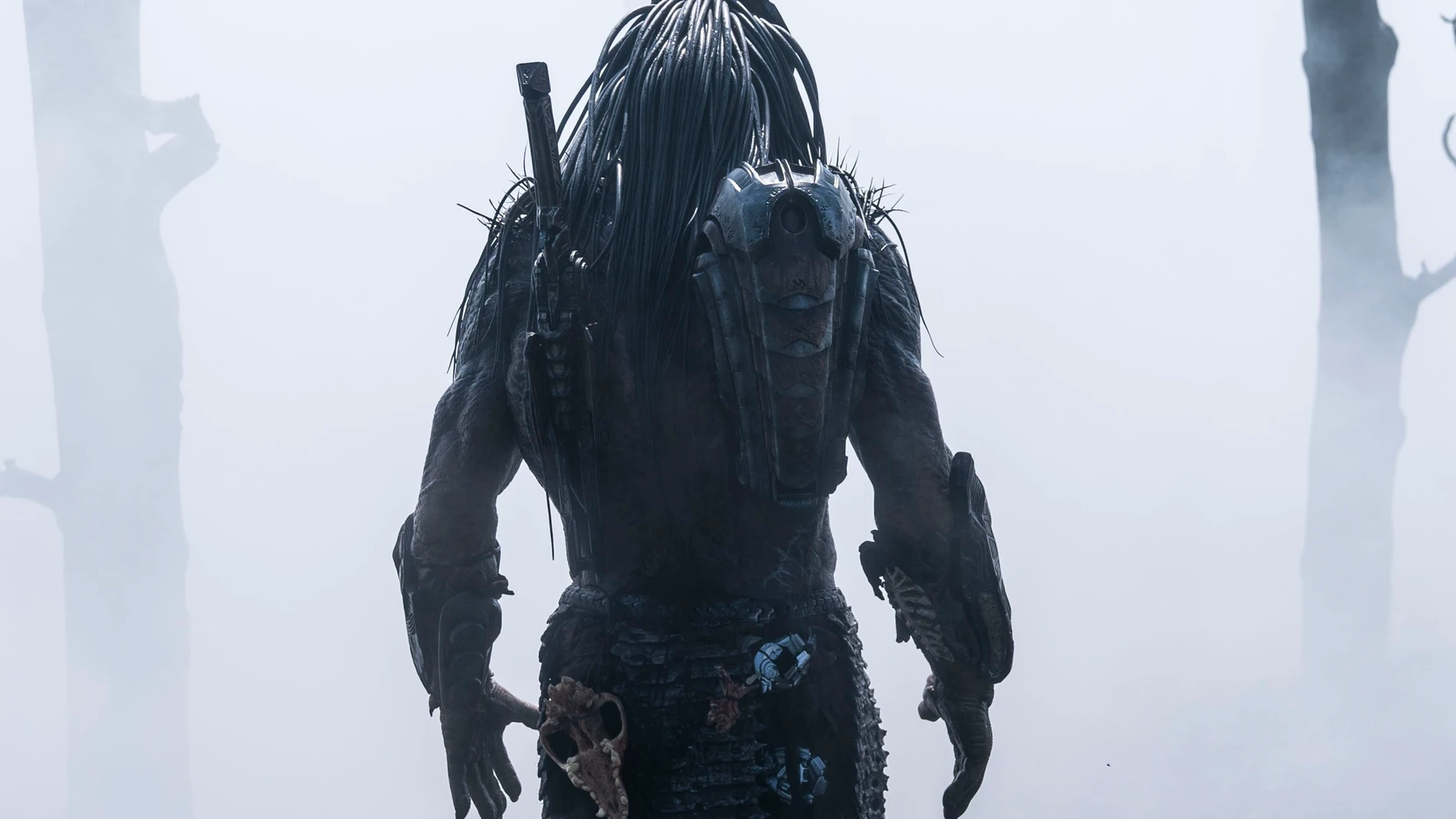 'Prey' es una de las últimas entregas de la saga 'Predator'