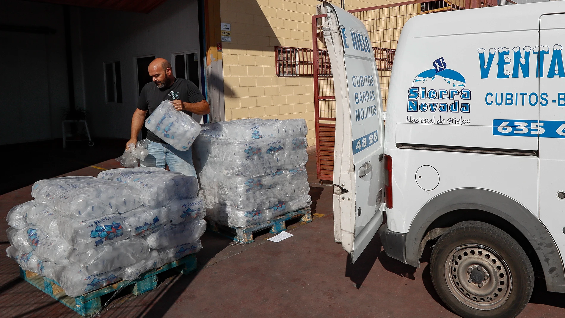 Un distribuidor carga sacos de hielo listos para su consumo en la fábrica de cubitos de hielo La Estrella en Coria del Río (Sevilla). EFE/ José Manuel Vidal