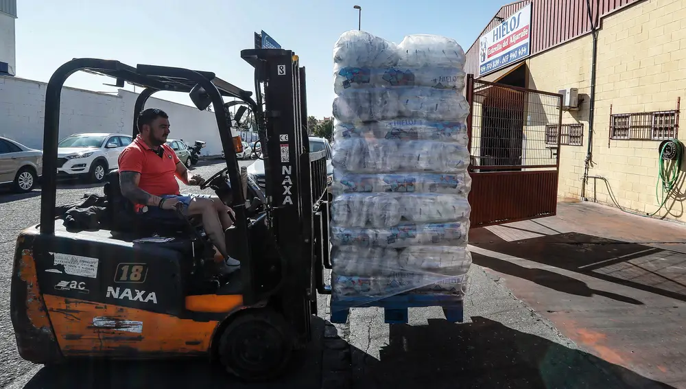 Un trabajador transporta sacos de hielo listos para su consumo en una fábrica de cubitos. EFE/ José Manuel Vidal
