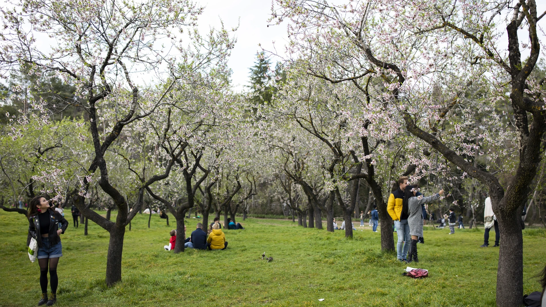 Parque de la Quinta de los Molinos.
