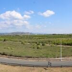 Urbanismo trabaja en la reducción del impacto ambiental de la planta fotovoltaica que surtirá de energía a la gigafactoría, según el concejal de Sagunto