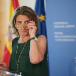 Teresa Ribera en la rueda de prensa posterior a la reunión de la Conferencia Sectorial de Energia, Industria y Comercio , que se celebra de manera telematica.