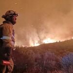 Castilla y León, inicia la época de riesgo alto de incendios forestales