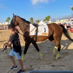 Este es 'Star of Bengal', el ganador en la prueba más importante del miércoles en las playas de Sanlúcar