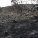 Superficie afectada por el incendio del Chorro de las Avispas en Granada