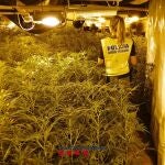 Plantación de marihuana en una masía de Fogars de la Selva (Barcelona). MOSSOS D'ESQUADRA 09/08/2022