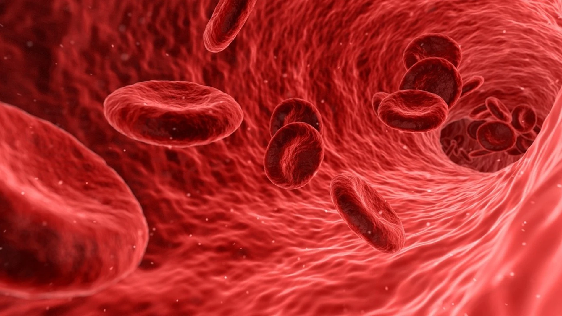 Representación artística de la sangre