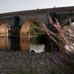 El caudal del río Miño ha ido disminuyendo hasta niveles mínimos, quedando casi vacío en Lugo