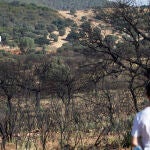 Andrés Encinas, uno de los vecinos afectados por el incendio que hace un año arrasó más de 600 hectáreas de arbustos, encinas y alcornoques en el Puerto del Calatraveño en Alcaracejos (Córdoba). EFE/Salas