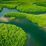 El cuerpo del indígena ha sido encontrado en la selva amazónica