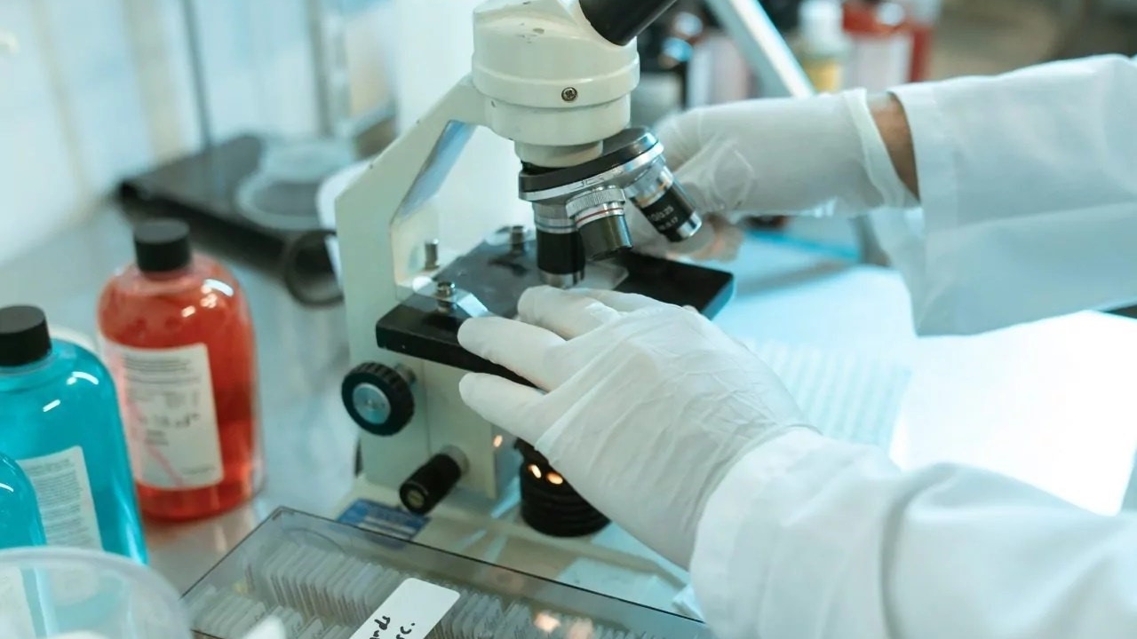 La Universidad de Granada suma 168 investigadores entre los más influyentes del mundo