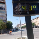 Un termómetro marcaba 43 grados, este lunes en la rotonda Norte de Murcia a mediados de agosto