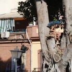 Una de las tres personas que viven en el barrio de Triana (Sevilla) que se han subido hoy miércoles al ficus centenario de la iglesia de San Jacinto para evitar su tala