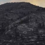 Una de las zonas afectadas por el incendio de Bejís