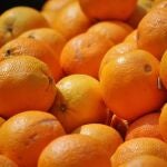 Varios kilos de naranjas. ASAJA