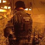 Agente de la Guardia Civil en una plantación interior de marihuana. GUARDIA CIVIL