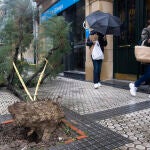 La vuelta de las precipitaciones se está haciendo esperar más de la cuenta, y los ciudadanos la están deseando