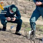 Agentes de la Guardia Civil investigan un incendio forestal (archivo)