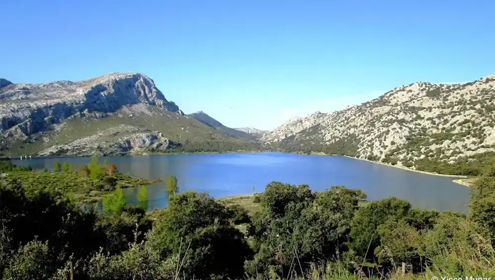 Imagen del pantano de Gorg Blau