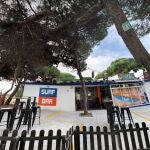 Este es el local donde la caída de un pino ha causado seis heridos
