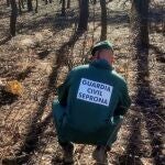 Investigan a un varón de 69 años por su presunta implicación de un incendio en la provincia de León