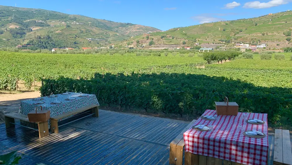 El Valle del Duero es ideal para una escapada enoturística