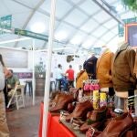 Ambiente en Intercaza. DIPUTACION DE CORDOBA