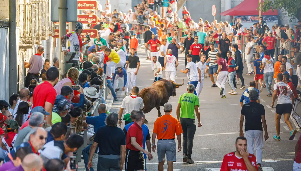 Cuarto encierro de las fiestas de Ntra. Sra. del Rosario de Cuéllar, con novillos de Lora Sangrán