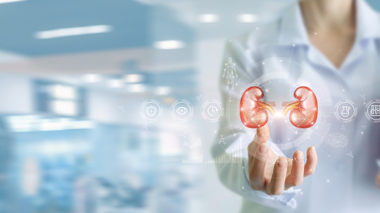 En busca de soluciones para la enfermedad renal crónica