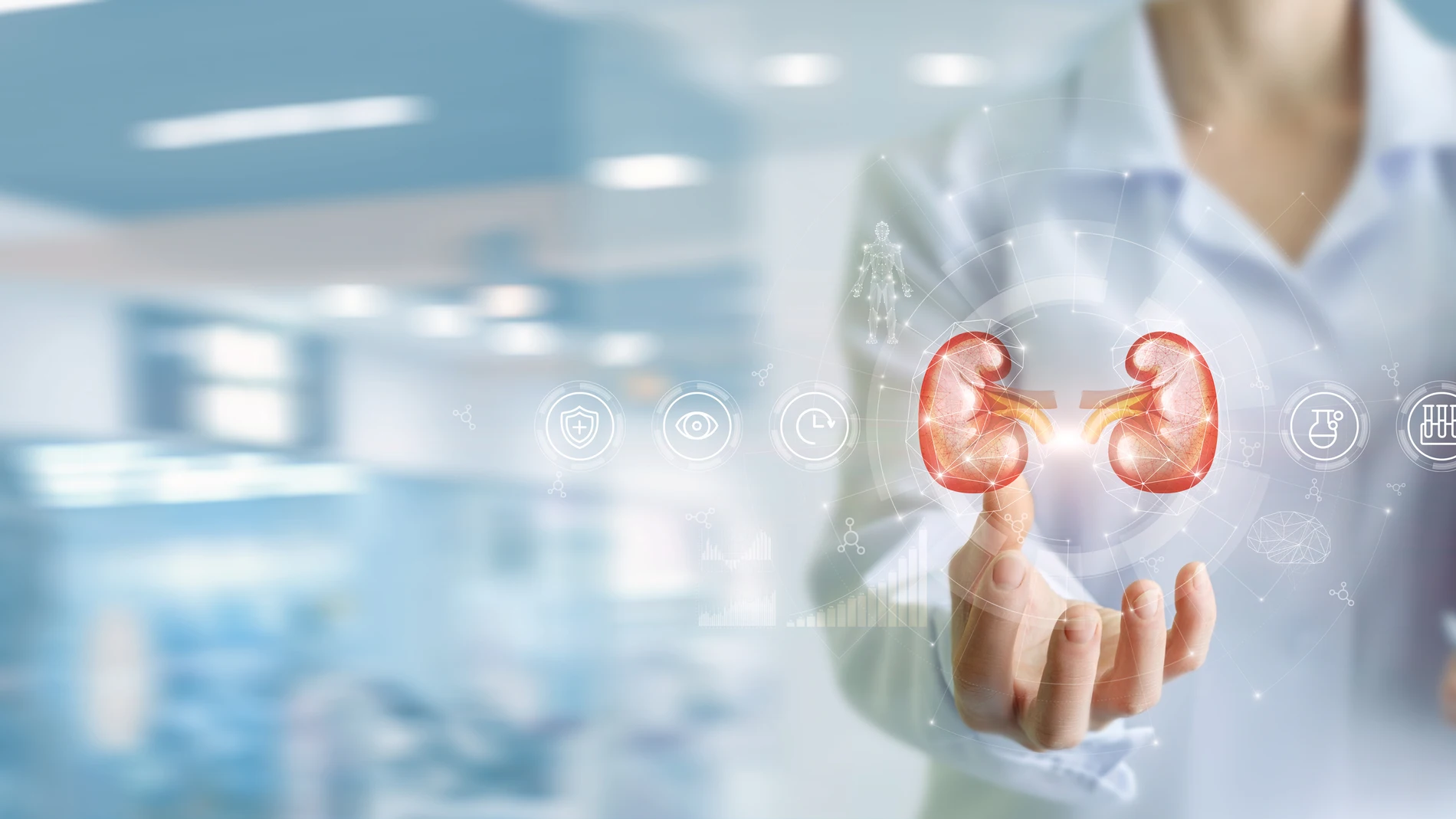Enfermedad renal crónica