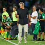Manuel Pellegrini, durante el partido que el Betis ganó a Osasuna