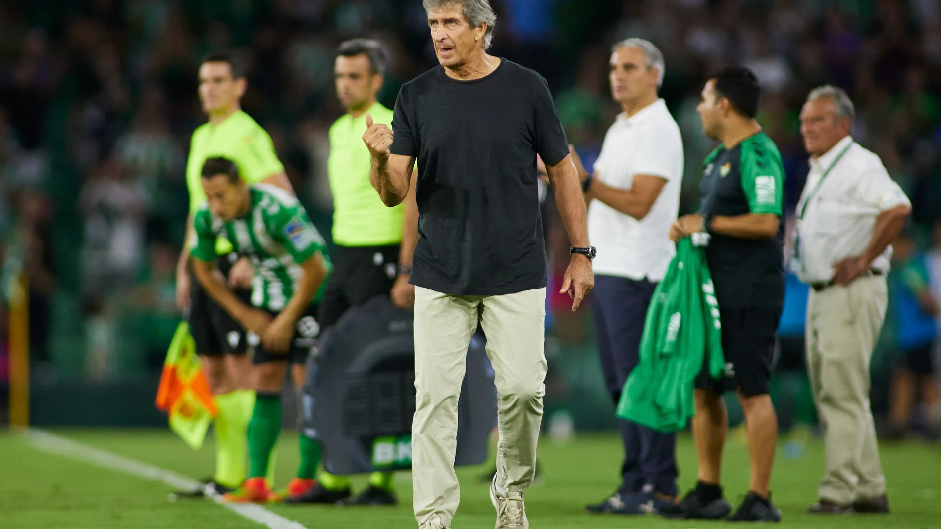 Manuel Pellegrini, durante el partido que el Betis ganó a Osasuna