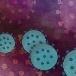 Ilustración de los virus SARS-CoV-2, responsables de la enfermedad COVID-19