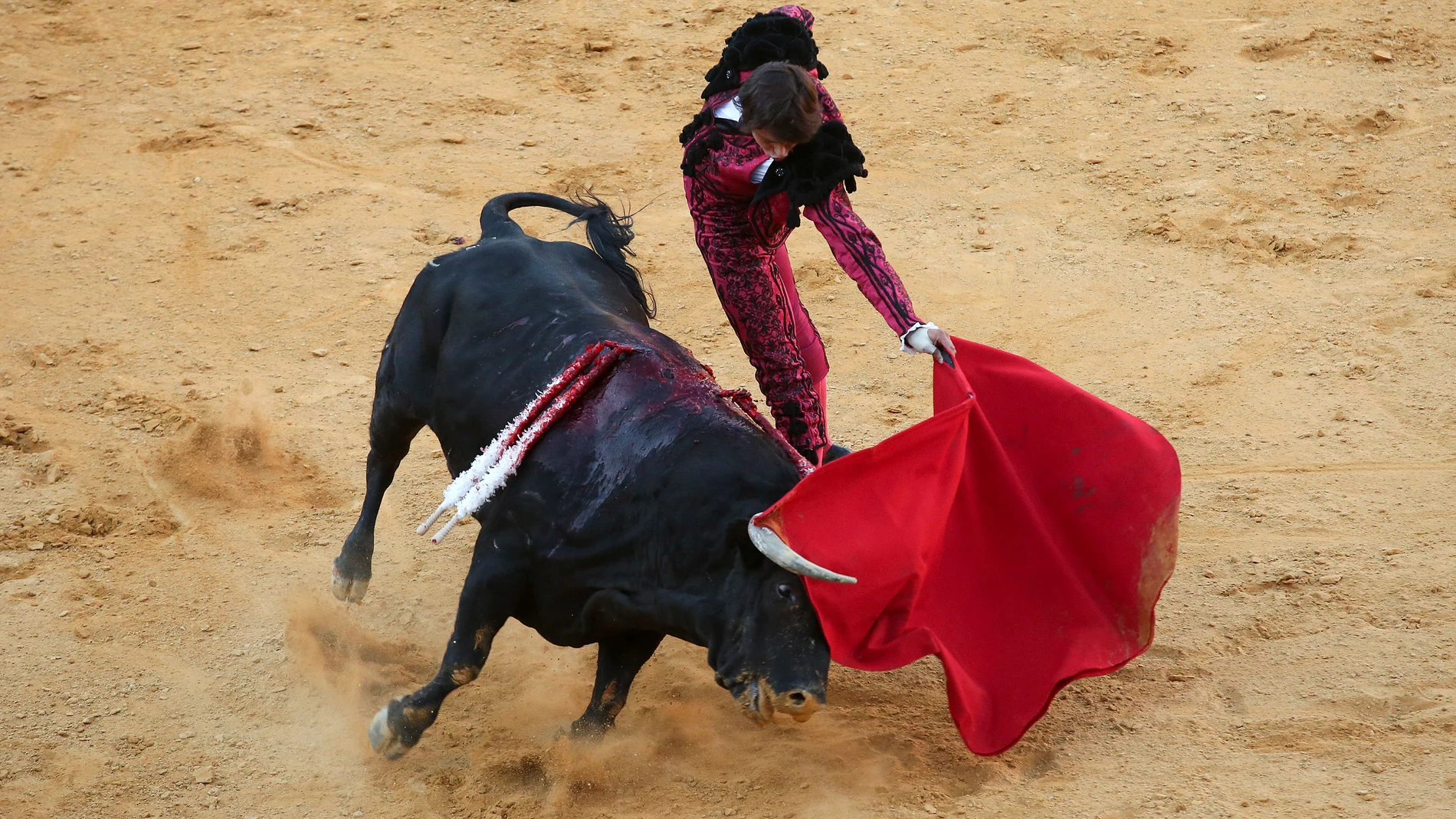 El diestro Roca Rey durante el sexto toro de la corrida Goyesca. EFE/Daniel Pérez