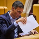 El presidente del Gobierno, Pedro Sánchez, asiste al pleno del Senado.