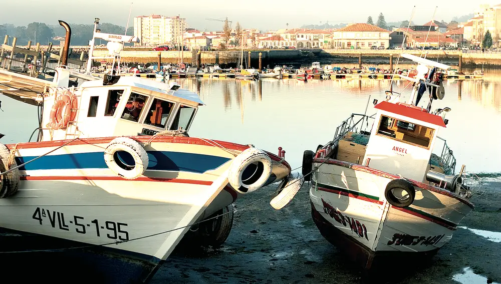 Detalle de los tradicionales barcos en el puerto de Cambados