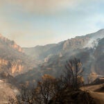 Medios aéreos y terrestres del Infoca trabajan en la extinción de un incendio forestal declarado este jueves en un paraje de Los Guájares, en la Costa Tropical de Granada. EFE/Alba Feixas